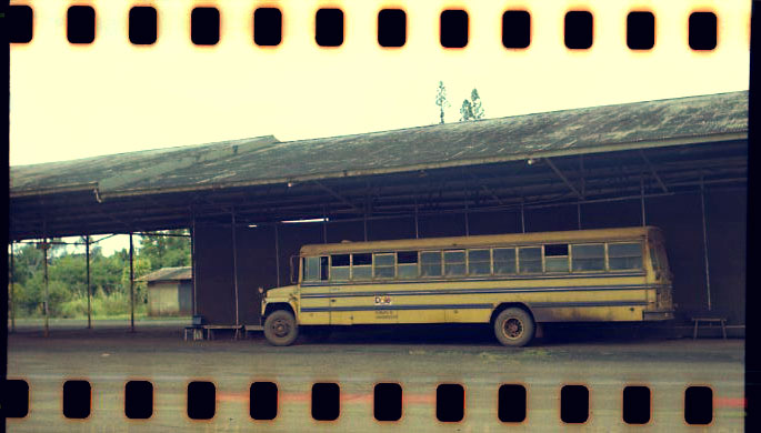 Whitmore Dole Bus © 2010 Bobby Asato