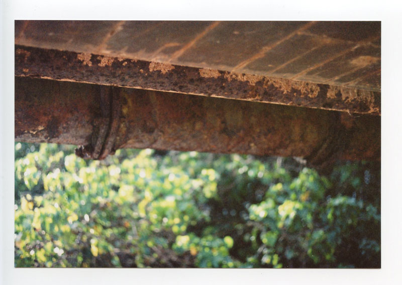 Under the bridge at Laniakea, North Shore. © 2010 Bobby Asato