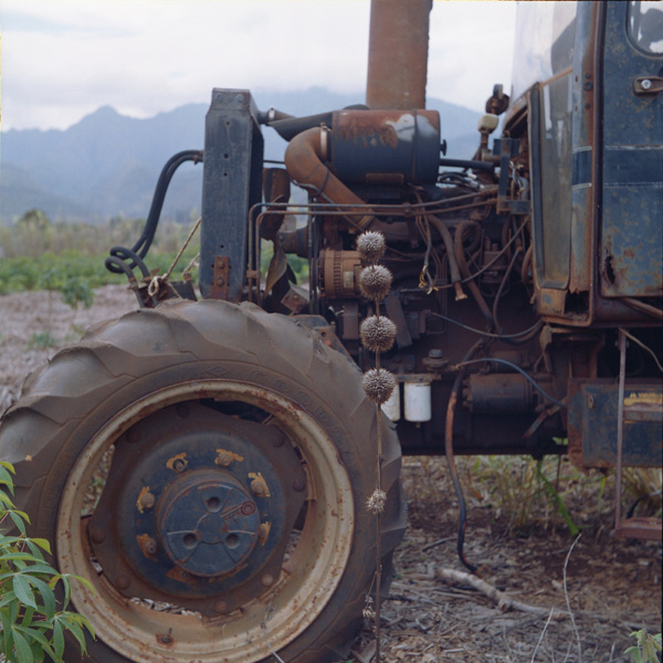 Waialua Tractor Graveyard, Yashica LM TLR. © 2010 Bobby Asato