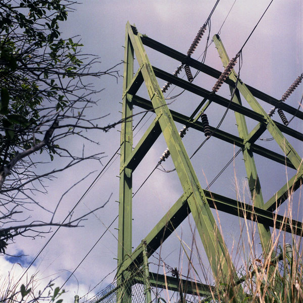 Aiea Loop Trail, Yashica Mat-124 TLR. © 2010 Bobby Asato