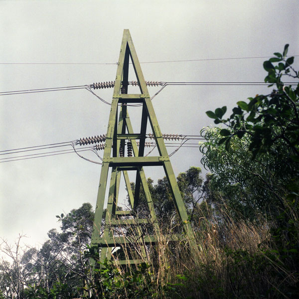 Aiea Loop Trail, Yashica Mat-124 TLR. © 2010 Bobby Asato