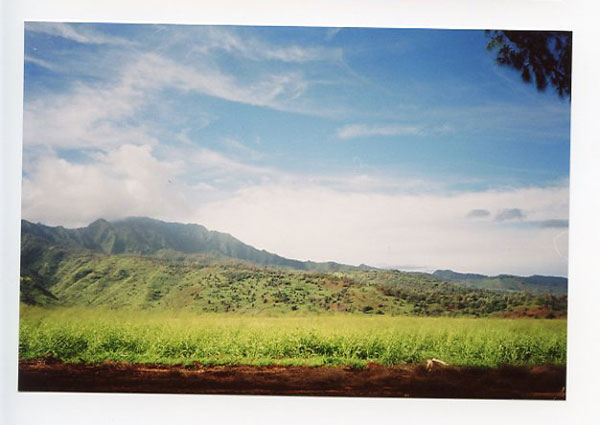 Kaukoanhua Road, Hawaii.Olympus XA1. © 2011 Bobby Asato