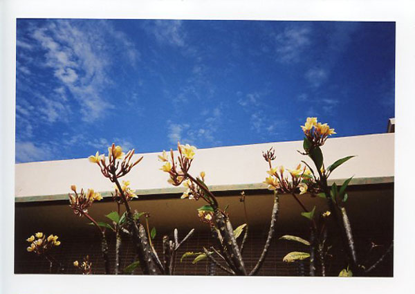 Aiea High School, Hawaii.Olympus XA1. © 2011 Bobby Asato