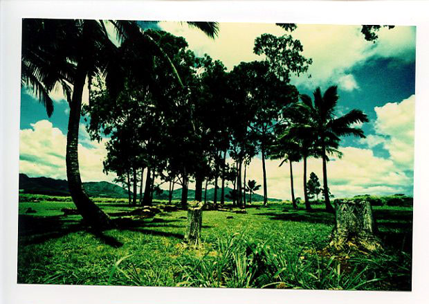 Kukaniloko, Wahiawa, Hawaii. Canon A-1. © 2011 Bobby Asato