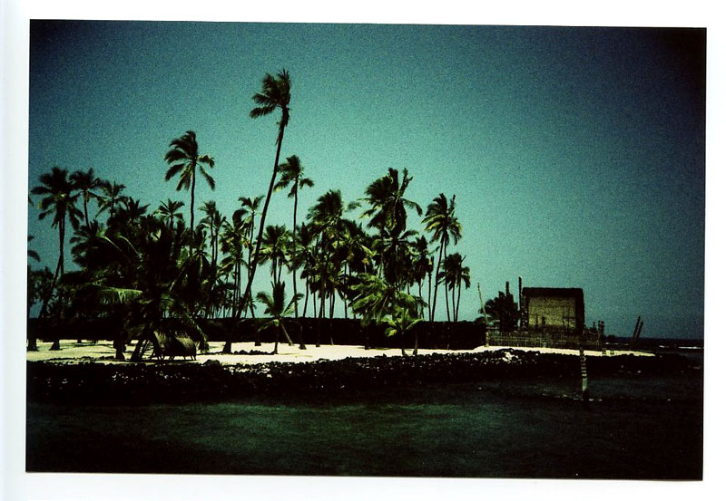 Big Island, Hawaii. Lomo LC-A+. © 2011 Bobby AsatoBig Island, Hawaii. Lomo Lubitel 166+ w/Lubikin. © 2011 Bobby Asato