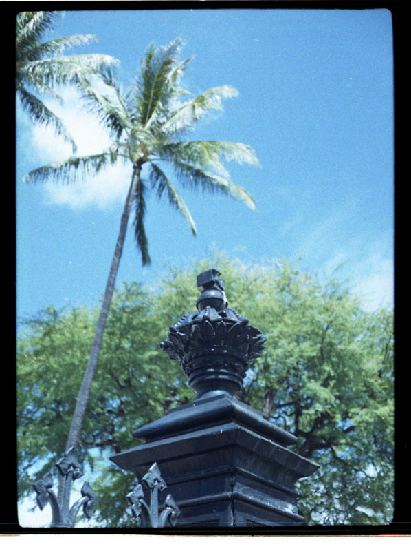 Kawaiahao, Honolulu, Hawaii. Yashica Half 17 Half-frame Camera. © 2011 Bobby Asato