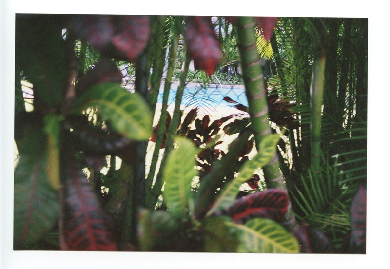 King St., Hawaii. Minox 35EL. © 2011 Bobby Asato
