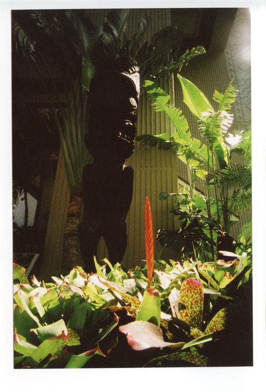 Hilton Hawaiian Village  Hotel. Waikiki, Hawaii. Superheadz Black Slim Devil. © 2011 Bobby Asato