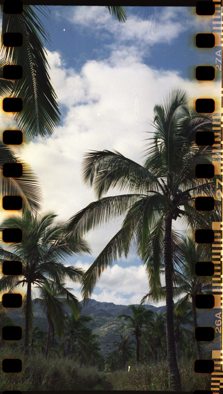 Wailua, Hawaii. Lomo Lubitel 166+ © 2012 Bobby Asato
