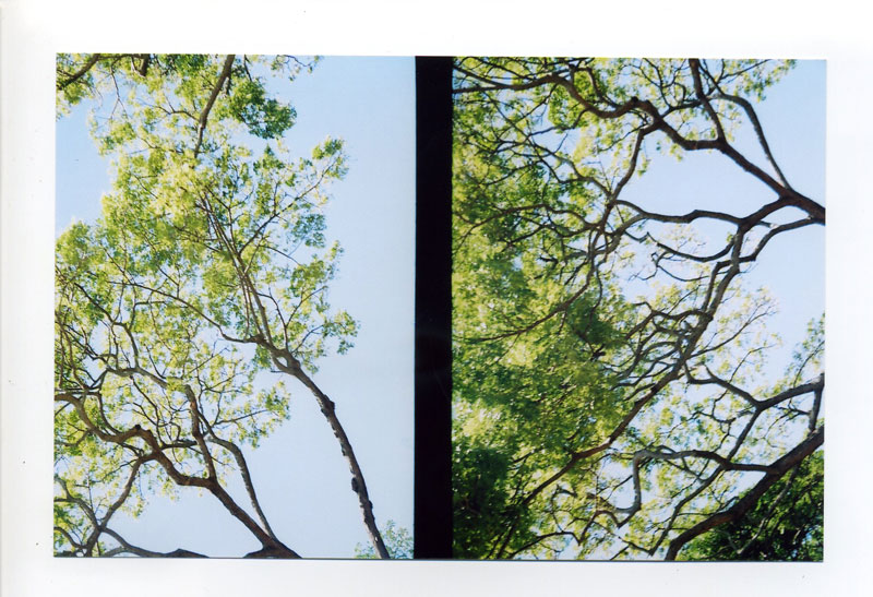 Yashica Half Frame dyptich.. ©2010 Bobby Asato